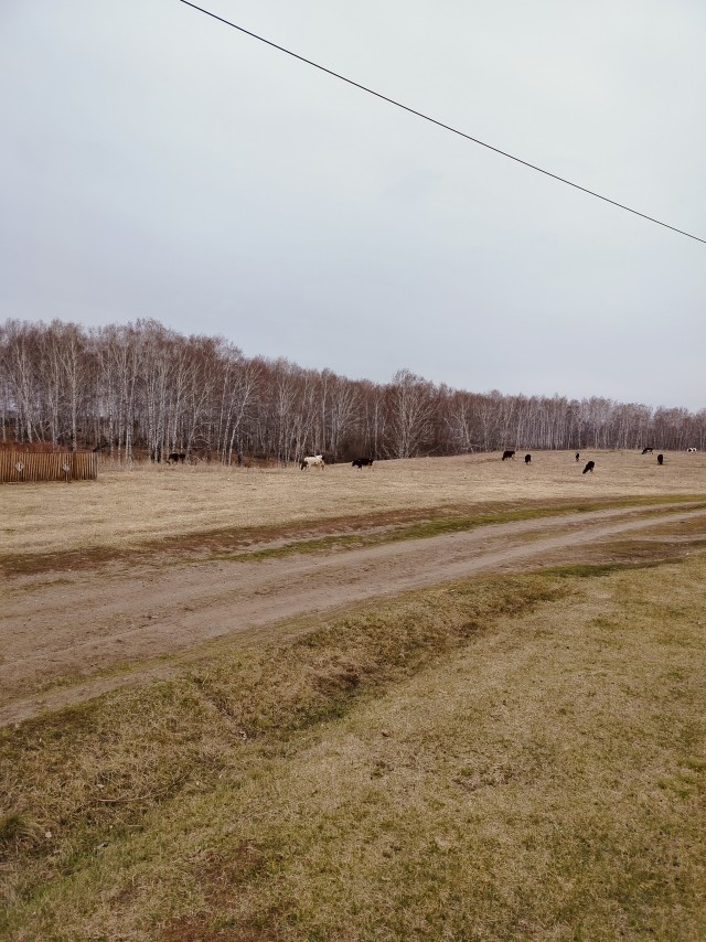Перезимовали