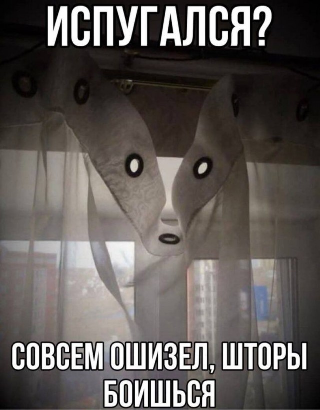 Веселые картинки в пятницу (24.04)