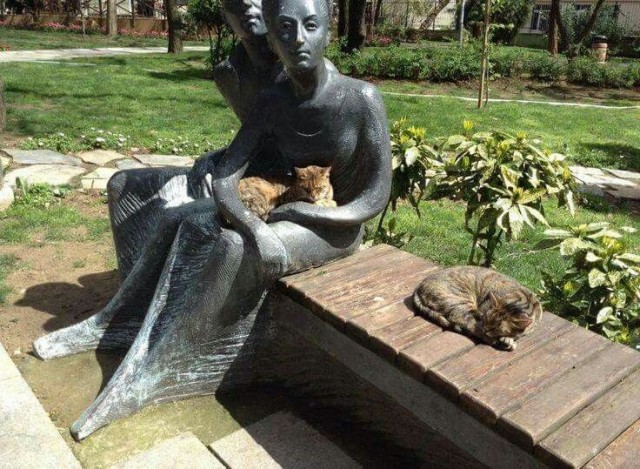 Возлюби кота ближнего своего