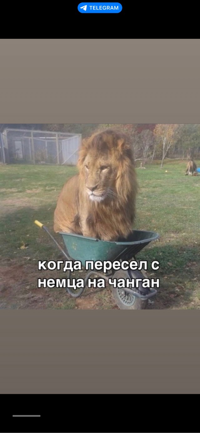 Деградация