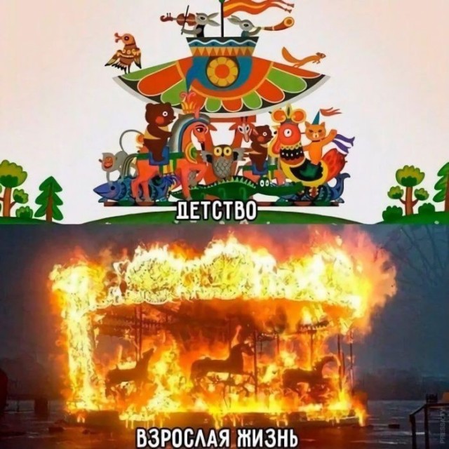 Веселые картинки в маленькую пятницу (29.07)