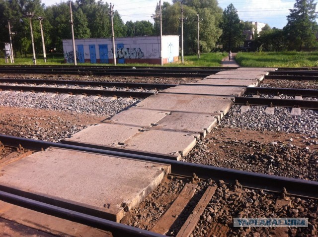 Мисс Оленино.