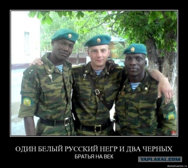 РВВДКУ 133 выпуск.