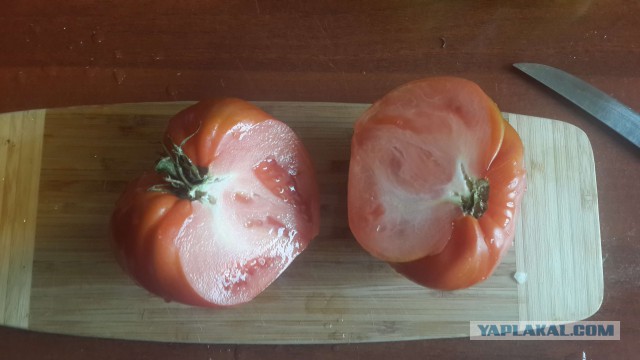 Аццкая кухня