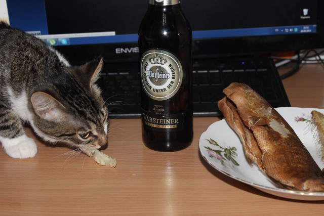 Пожалел котана.