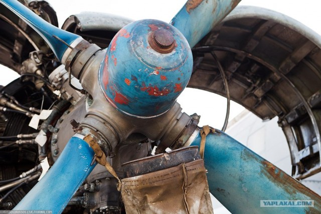 Восстановление Ил-14Т на Тушинском аэродроме