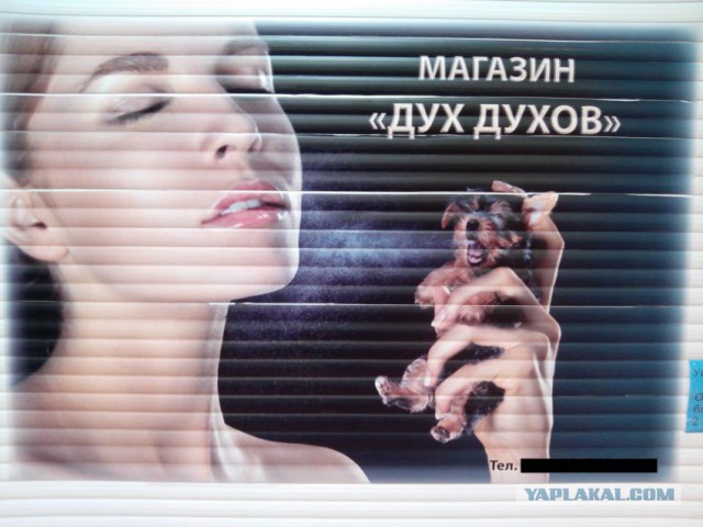 Маразмы