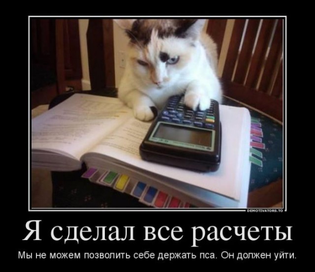 Немного братьев наших меньших! ЧЕТВЕРГ