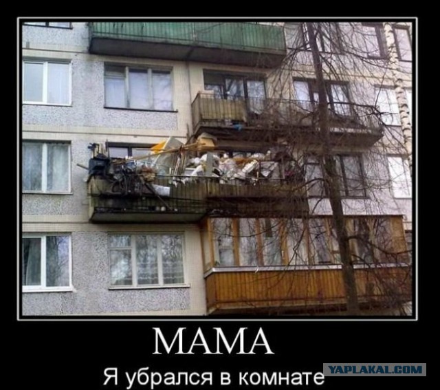 Картинки из интернета