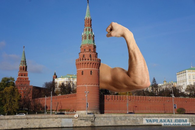 Свиной грипп в Украине