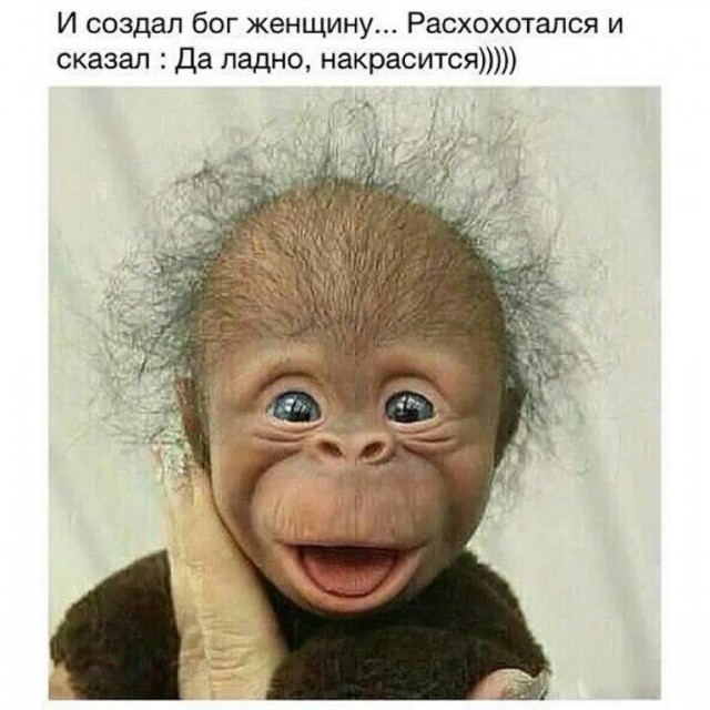 40 улыбательных картинок