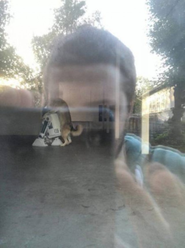 Эпические провалы