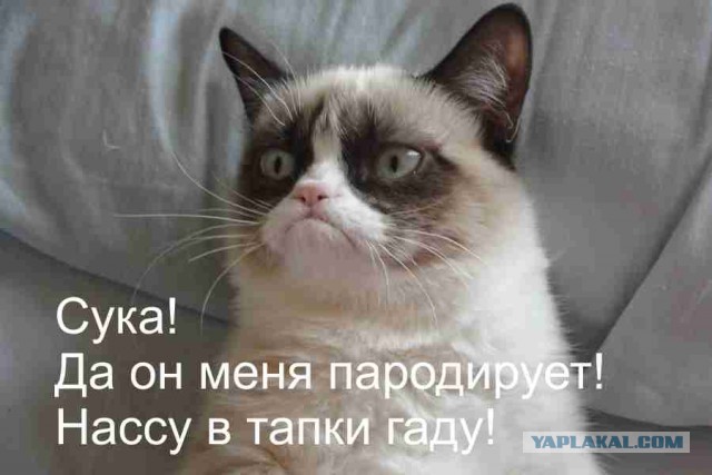 История экономического  форума в лицах !