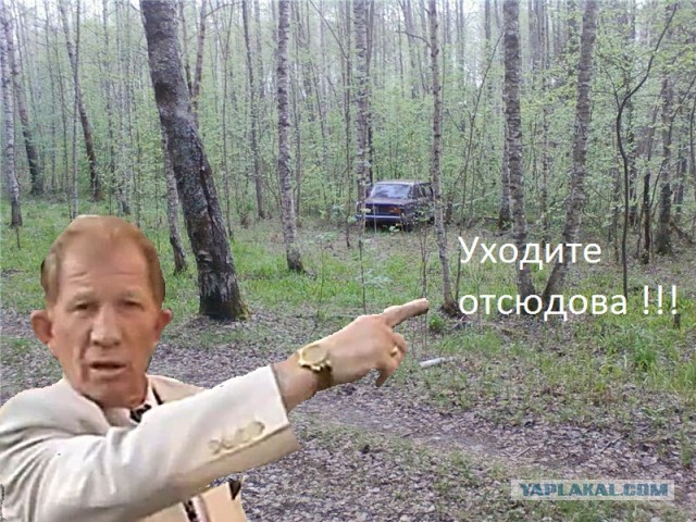 Нашел в лесу машину, что делать?