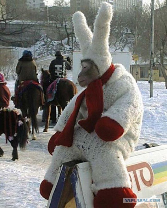18 зимних картинок