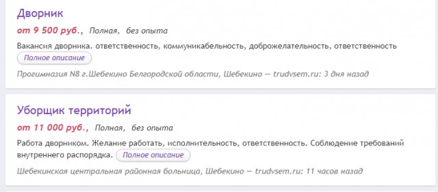 Кто ворует зарплаты дворников, Собянин?
