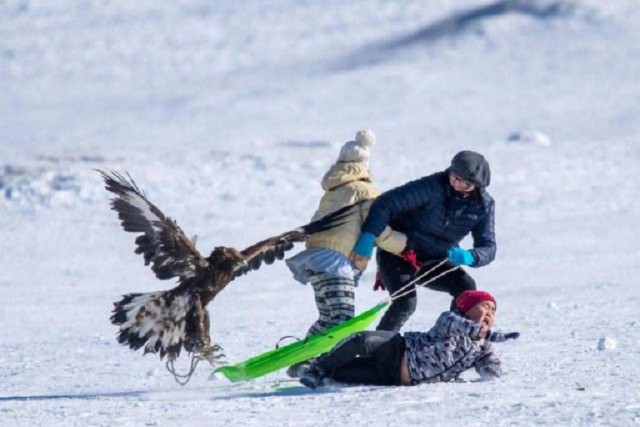 Подборка забавных картинок