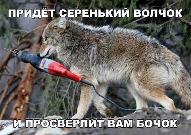 Прикольные картинки обо всём