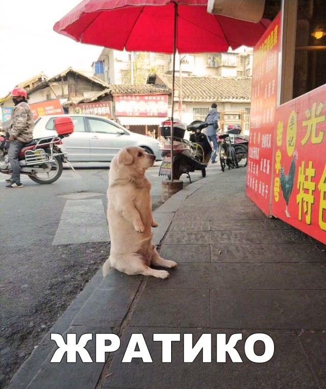 Нестандартный юмор