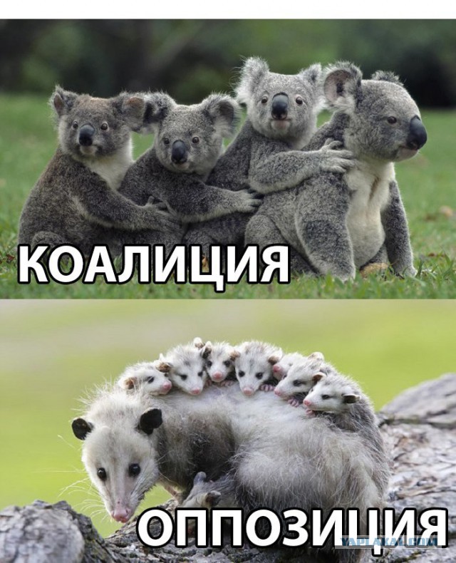 Я тоже хочу попробЫвать с картинками