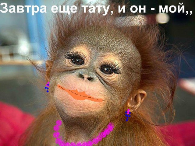 Калейдоскоп картинок