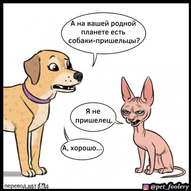 Бруд и Пикси