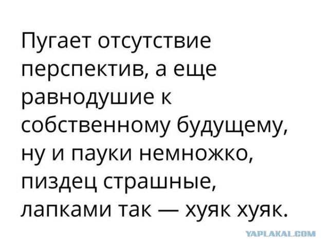 Бредзона 17.01.2020