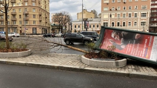 "Лютый ветер в Москве" и его последствия