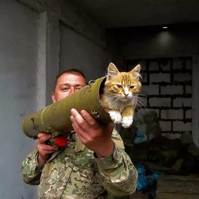 Зверушки