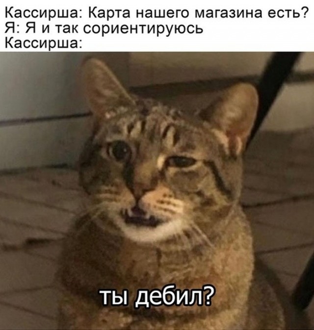 Перлы 08.06.20.