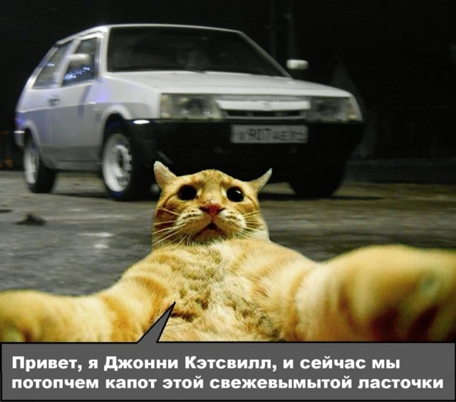 Приключения Джонни Кэтсвилла