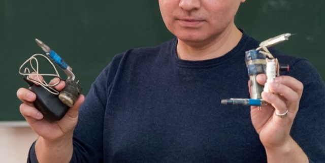 В челябинской школе прошел урок «АУЕ»