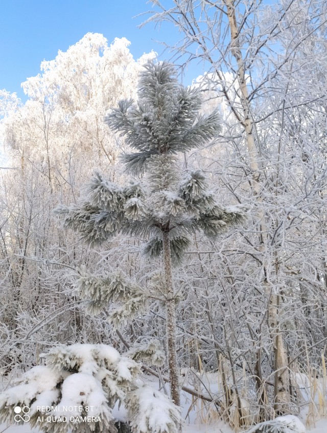 Прикольные и просто красивые картинки 30.12.2020