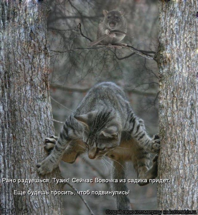 Фигасе воробушек!