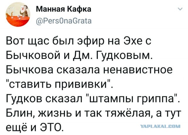 Свинегрет: картинки, надписи и прочее на 20.02.21 или №30