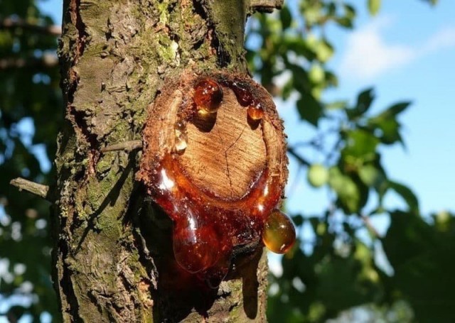 100 фотографий из XX века, часть 3