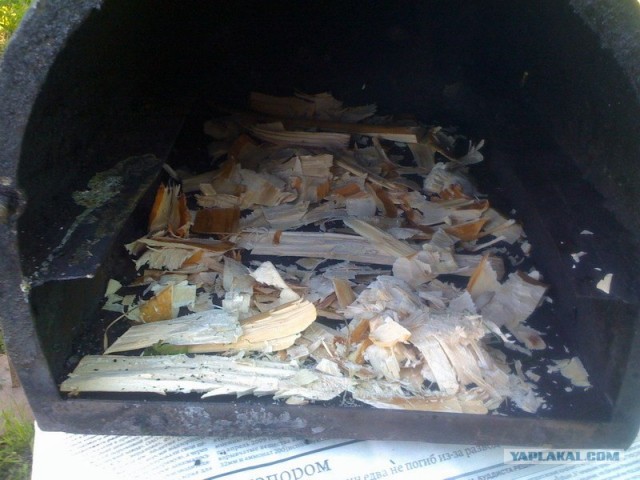 Все из рыбы!