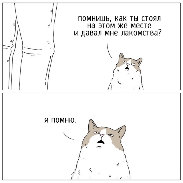 Весёлый полтишок 25.06.