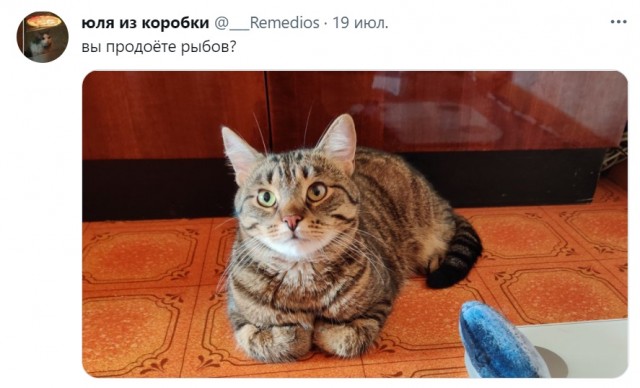 Лили, Лиля - пятимесячная радость