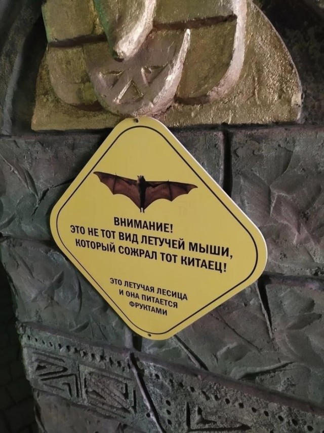 Так себе картинки 13.08.21