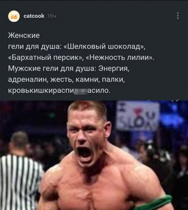 Весёлый полтишок 16.08