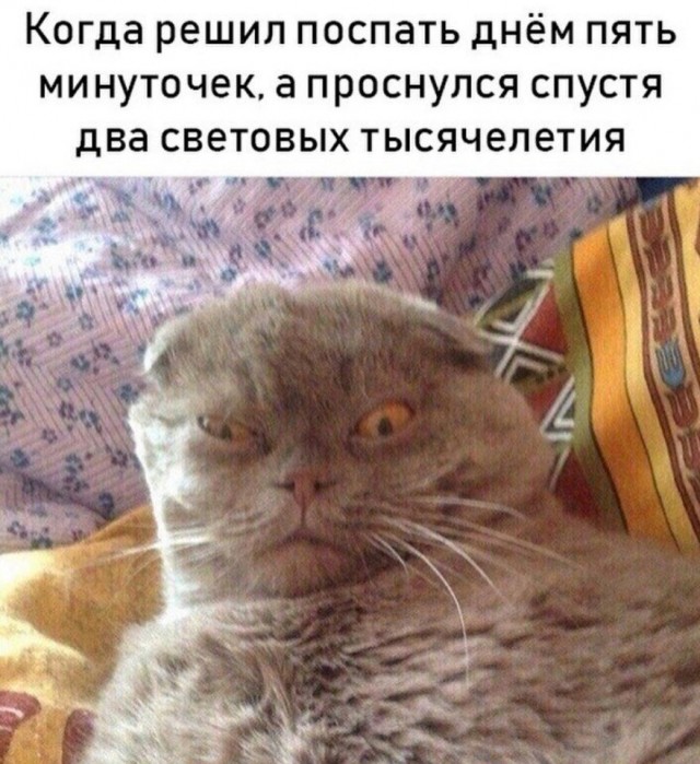 Так себе картинки 08.09.21