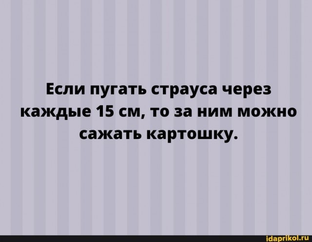 Немного картинок разной степени новизны и адекватности - 9