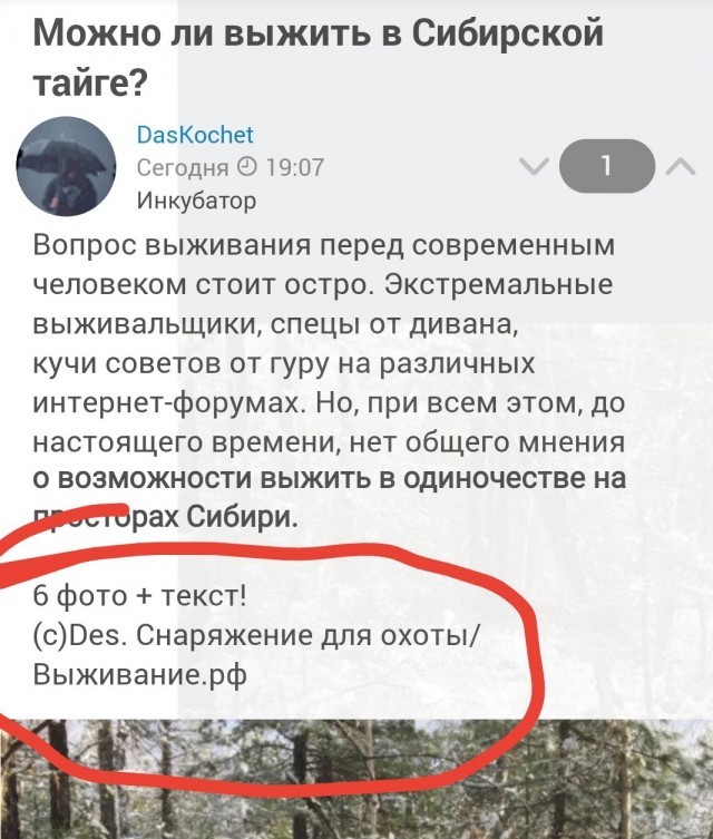 Можно ли выжить в Сибирской тайге?