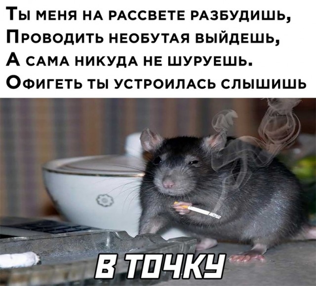 Картинки и мемы для настроения