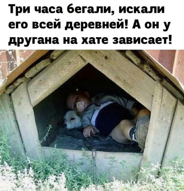 Баянисто-небаянистый юмор 6.12.21
