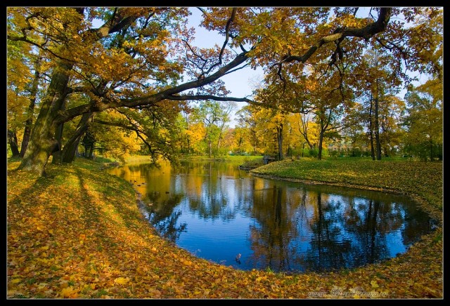Фото(Просто) ,тема -просто.