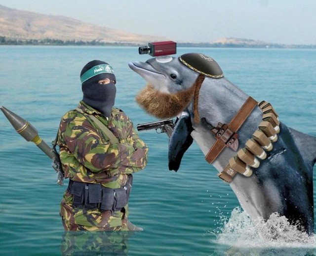 Палестинцы поймали подосланного «Моссадом» дельфина-шпиона с ружьем