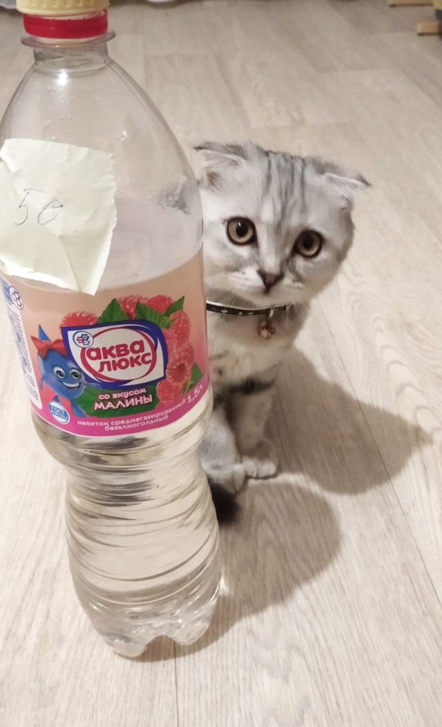 Котовторниковское