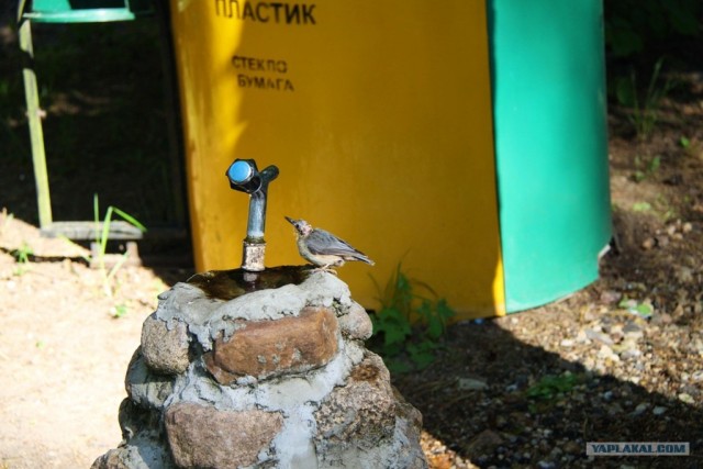 Фотоотчет о поездке в Беларусь!